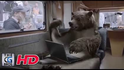 The Bear